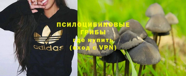 2c-b Абинск